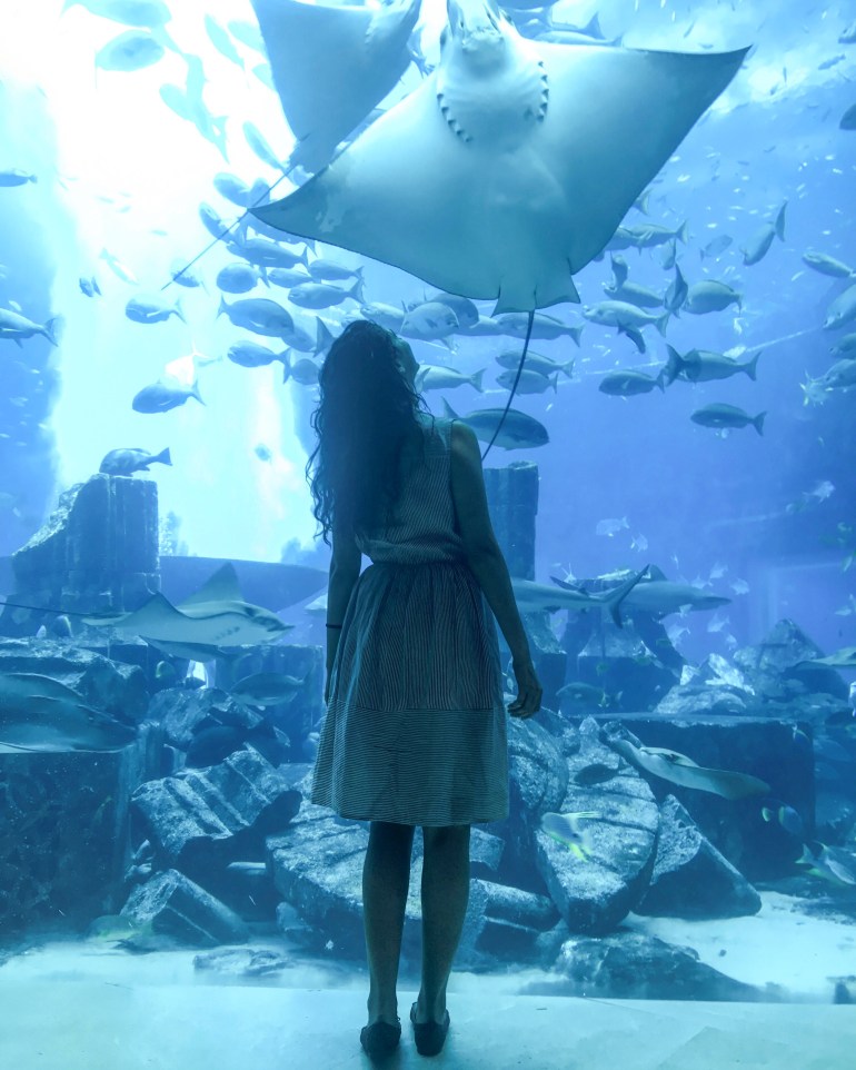 17363810173468293712